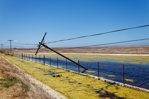 A telephone pole that toppled over after standing in a pool of water in the Western Cape, South Africa.