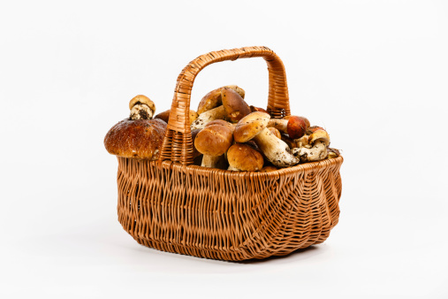 Basket full of mushrooms on a white background