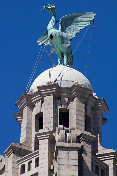 istock Liver Bird in Liverpool 186165225