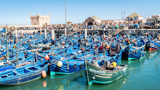 Essaouira, Morocco - 17 September 2022: Fishermen on blue fishing boats docked in port of Essaouira. Fishing boats line the harbor, bringing in the day's catch, while seagulls circle overhead