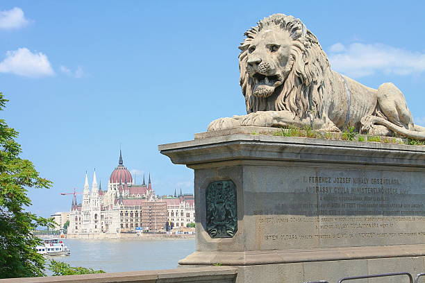 будапешт - chain bridge budapest bridge lion стоковые фото и изображения