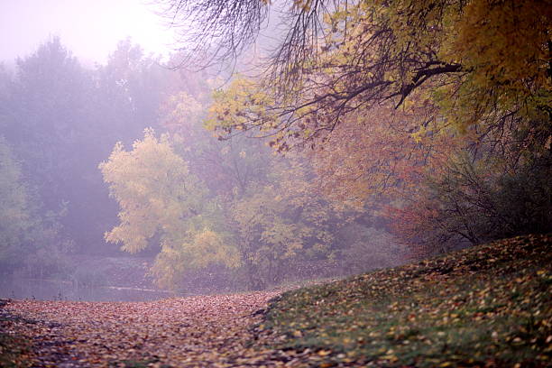 istock Morning in the fog 186167455