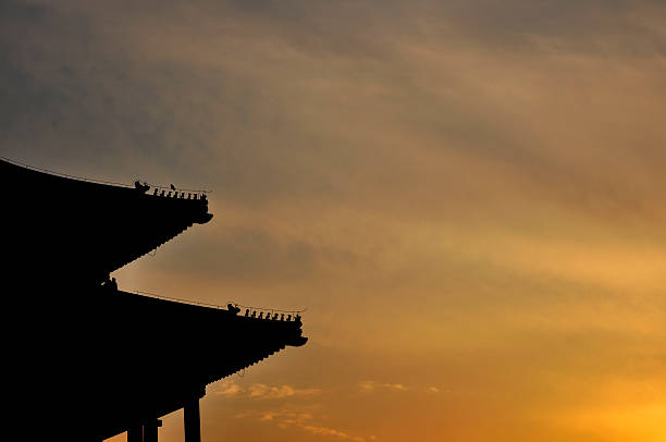 Silhouettes of a flock of white storks on road lighting poles