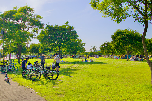 Seoul, South Korea - June 3, 2023: Bikes lined up along the bike path amidst lush green lawns of Nanji Hangang Park, dotted with picnickers under a clear blue sky and scattered green trees.