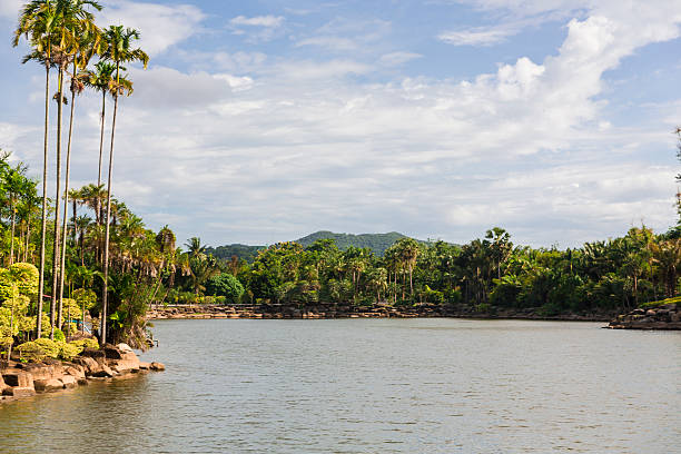 istock Nong Nooch tropical garden 186171586