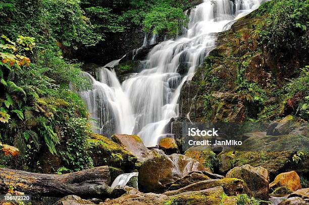 Águas Em Cascata - Fotografias de stock e mais imagens de Ao Ar Livre - Ao Ar Livre, Cascata, Corrente - Água corrente