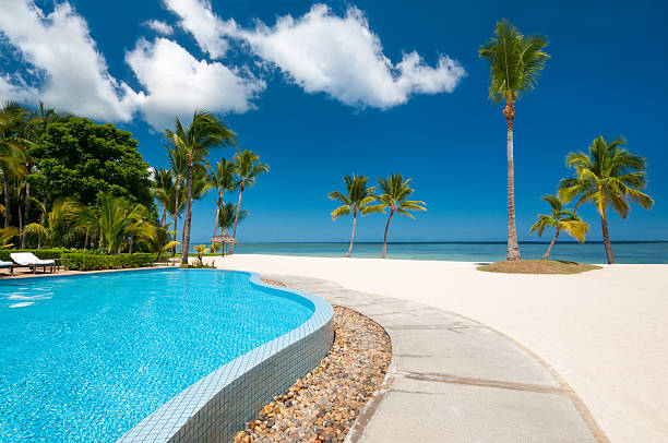 istock Beach with tropical pool and palms 186172789
