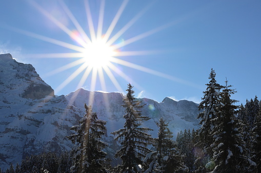 snow, snow landscape