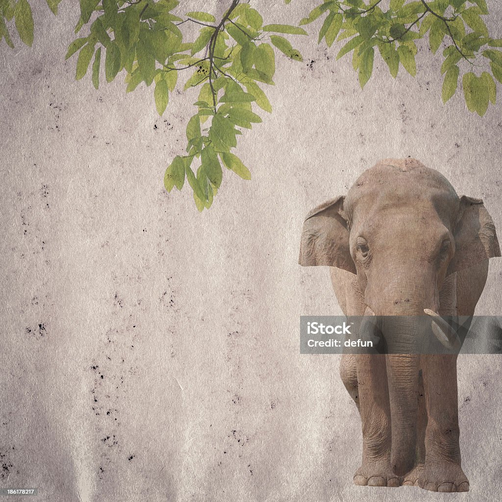 elephant and green leaf on old grunge paper texture elephant and green leaf on old grunge paper texture background Aging Process Stock Photo