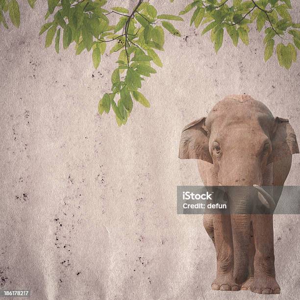 Elephant And Green Leaf On Old Grunge Paper Texture Stock Photo - Download Image Now