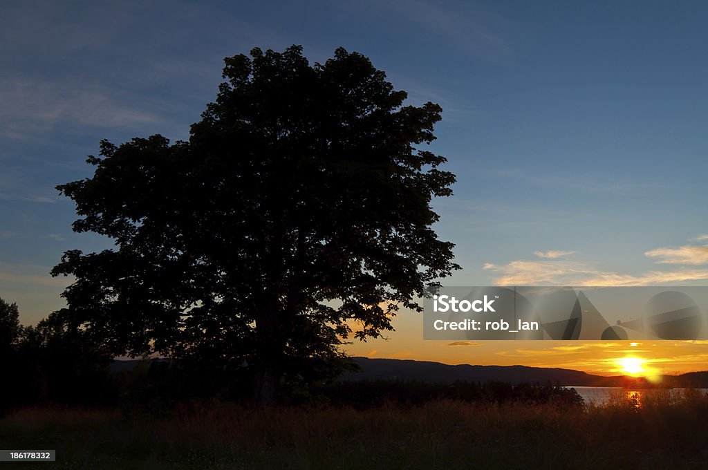Sol da meia-noite - Foto de stock de Exterior royalty-free