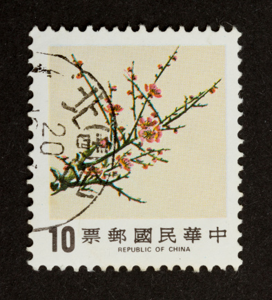 CHINA - CIRCA 1980: Stamp printed in China shows an twig with flowers, circa 1980