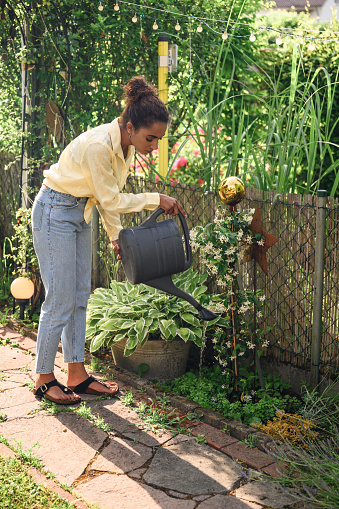 Hipster young black woman with curly hair in casual clothes, curly hair, watering plants and flowers at country house on a sunny day, summer and garden care, organic products, eco-friendly lifestyle
