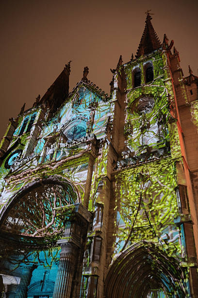 Upward view of a vine covered Fete des Lumieres in Lyon  Lyon - festival of light at December 8th, every year. The monuments of the town are illuminated.  st jean saint barthelemy stock pictures, royalty-free photos & images