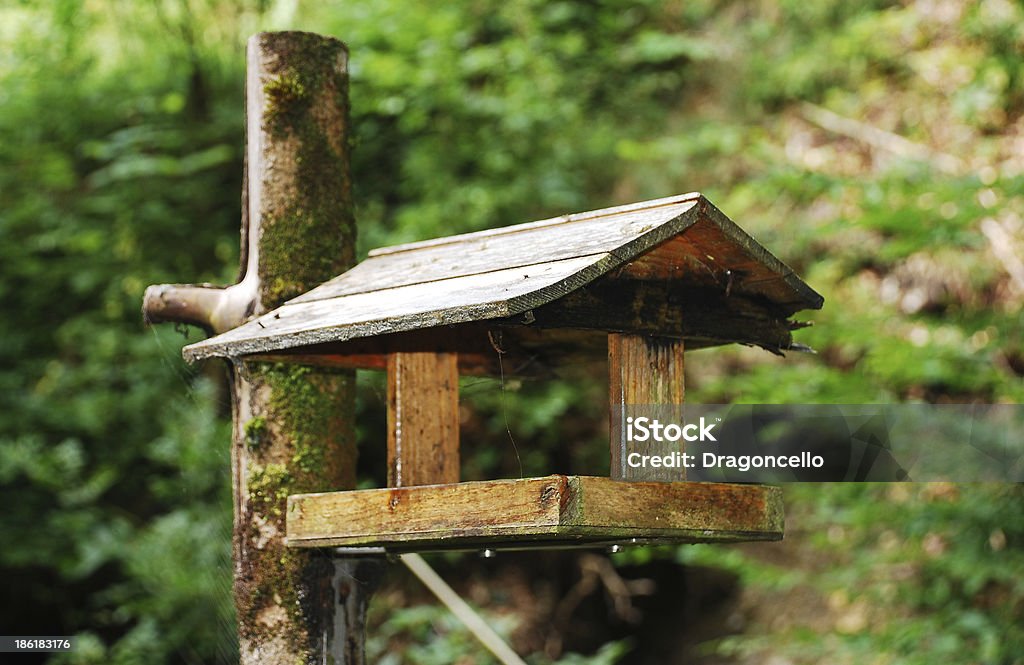 Pássaro mesa de madeira - Foto de stock de Bosque - Floresta royalty-free