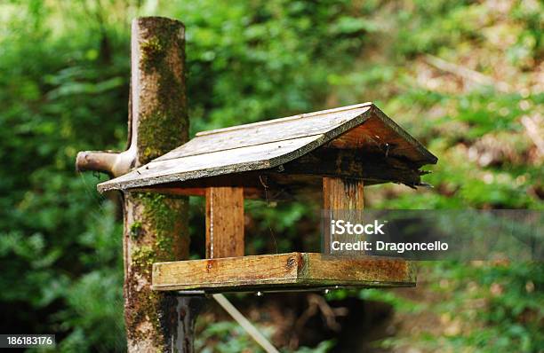 Foto de Pássaro Mesa De Madeira e mais fotos de stock de Bosque - Floresta - Bosque - Floresta, Casa, Casa de Pássaro