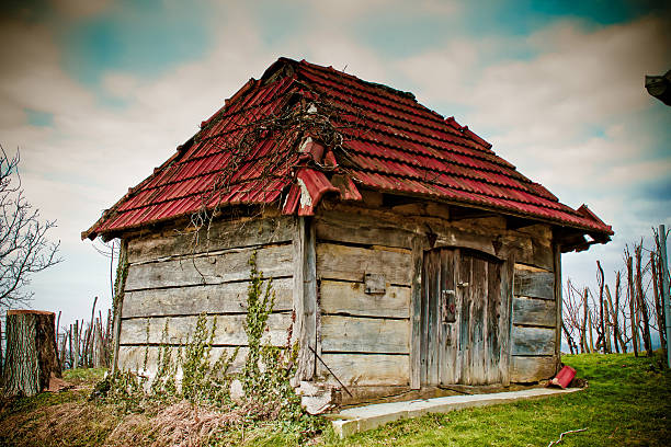 istock Old wooden cottage - traditional wine cellar 186183185