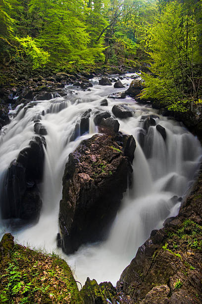 Wasserfälle von Braan 3 – Foto