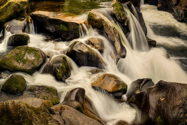 Dunkeld Wasserlandschaft 2 – Foto