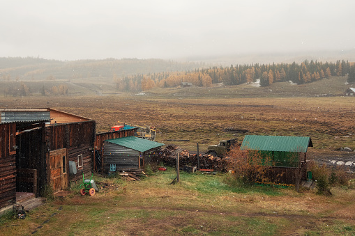 Late Autumn nostalgic rural landscape. Snow is falling. Altai autumn farm. Wooden house in remote mountain village, wooden cabin. Firewood in the yard.