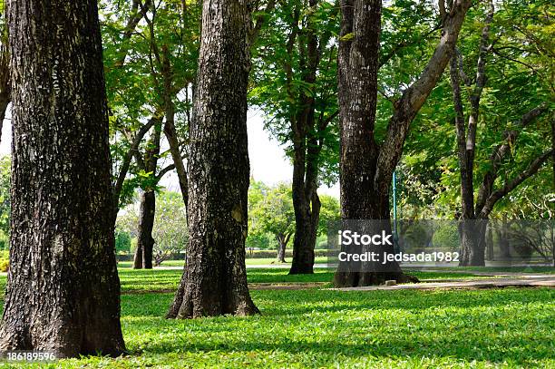 Foto de Parque e mais fotos de stock de Ajardinado - Ajardinado, Arbusto, Enfeitado