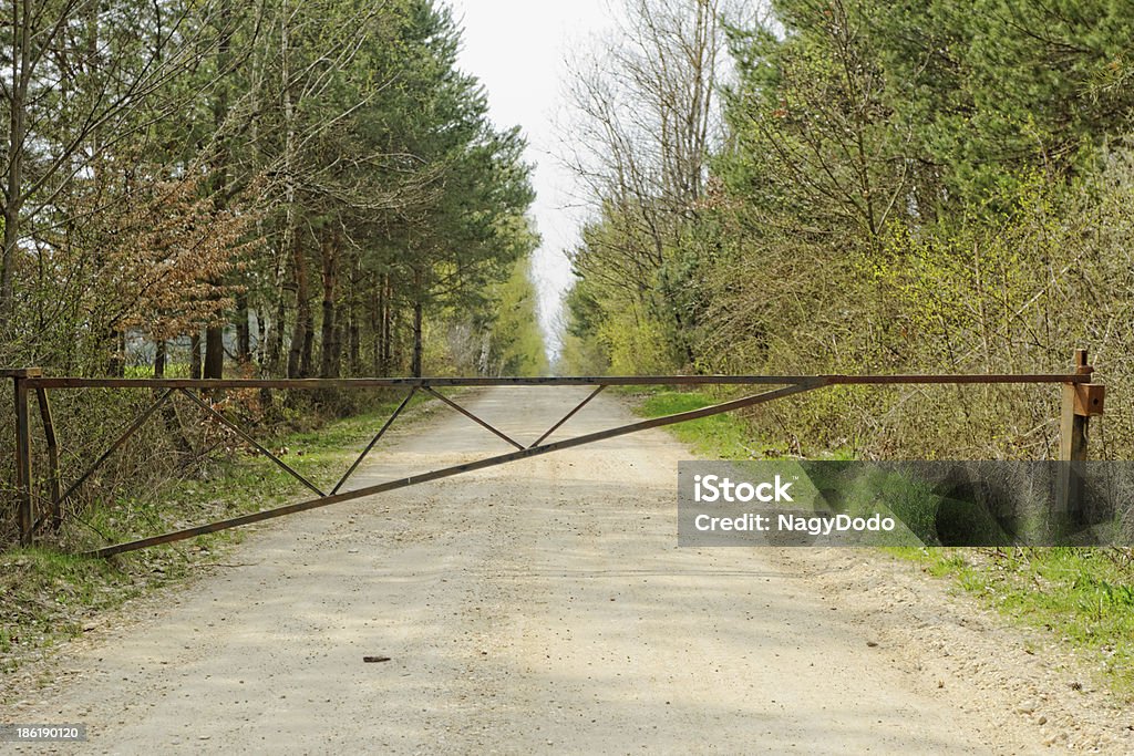 Schotterstrecke der forest - Lizenzfrei Agrarbetrieb Stock-Foto