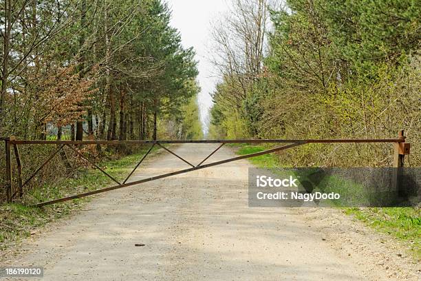 Carretera De Tierra Del Bosque Foto de stock y más banco de imágenes de Agricultura - Agricultura, Aire libre, Azul