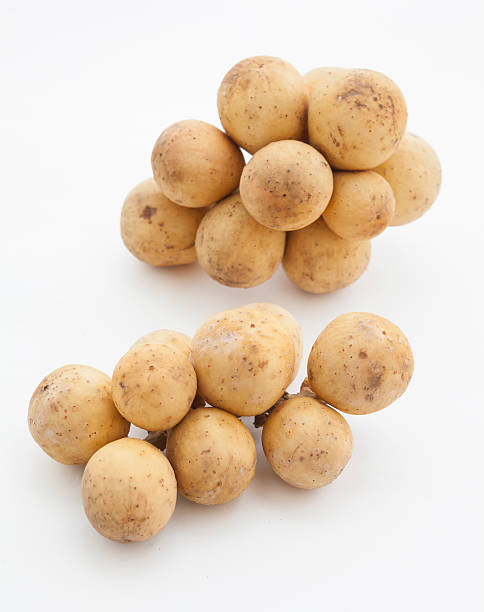 istock Tropical fruits, Longkong, Langsat 186190444