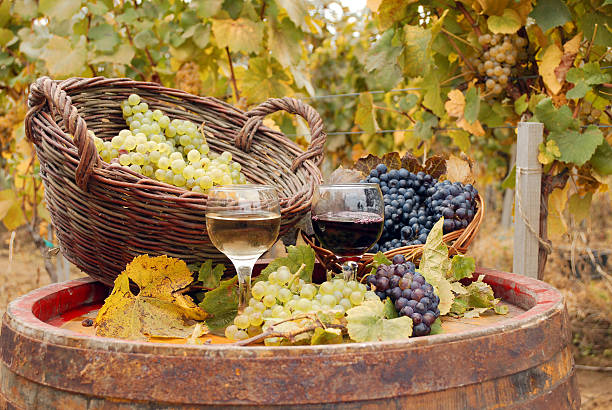 istock red and white wine autumn season 186190824