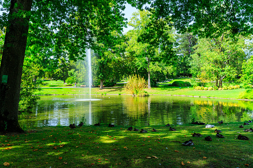 Embark on a visual journey through the enchanting beauty of the Jardin des Plantes in Nantes, as this photograph captures the serene allure of its picturesque lake. Nestled within the lush embrace of botanical wonders, the lake mirrors the tranquility of its surroundings. Ripples on the water's surface tell tales of a gentle breeze, while vibrant foliage and gracefully bending willows frame the scene. The reflections of the garden's vibrant colors dance on the lake, creating a harmonious blend of nature's palette. This snapshot invites you to immerse yourself in the peaceful ambiance of a hidden oasis within the heart of Nantes.
