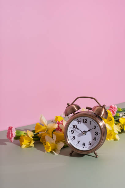 istock Alarm clock with spring flowers. Spring time, daylight savings concept, spring forward 1861910835