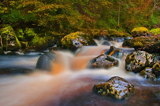 Fiume autunno - foto stock