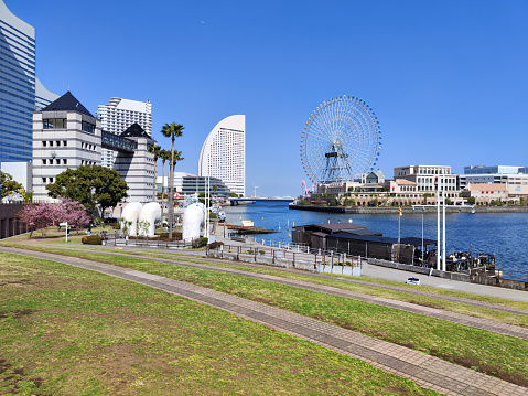 Large Ferris wheel in Minato Mirai, the central business district of Yokohama, overlooking Tokyo Bay,viewed by Nippon Maru Memorial park, Japan.