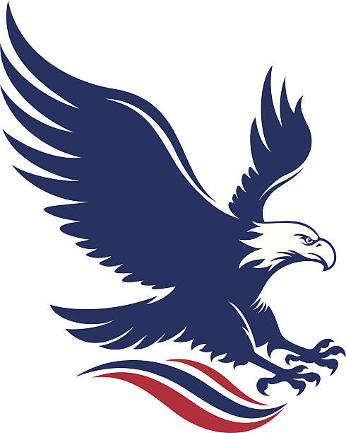 American eagle Bald eagle in american flag color, blue and red stripes.  bald eagle stock illustrations