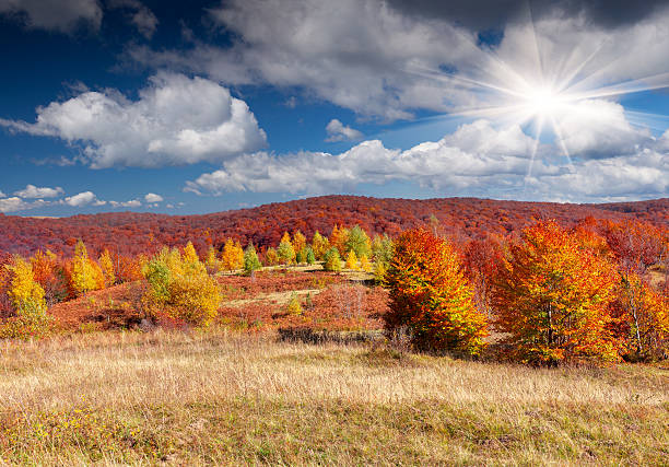 istock Colorful autumn landscape in the mountains. 186195545