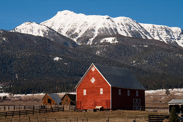 istock Livestock Wind Break Horse Leaning Red Barn Mountain Ranch 186196291