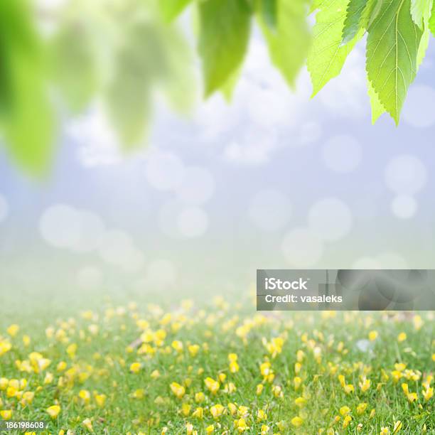 Naturale Sfondo Verde Con Messa A Fuoco Differenziale - Fotografie stock e altre immagini di Albero