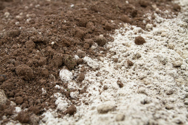 istock the boundary between arable land and fertilized soil 1861991930