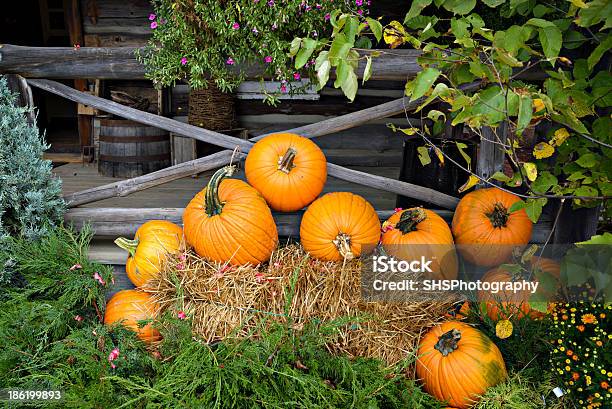 Pumpkins By 포치 건초-재배 식물에 대한 스톡 사진 및 기타 이미지 - 건초-재배 식물, 가을, 국화