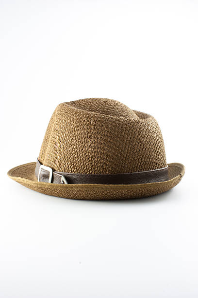 istock Brown fasion hat for travel 186199971