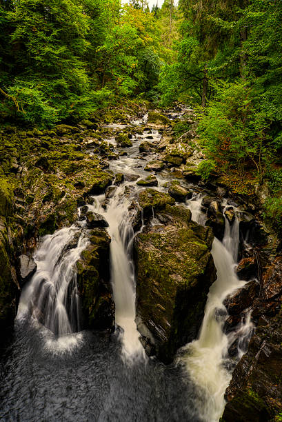 Das Hermitage 3 – Foto