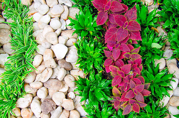 istock stone and grass in the garden 186203584