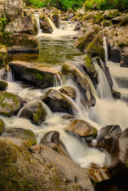 Wasserlandschaft "Dunkeld" 4 – Foto