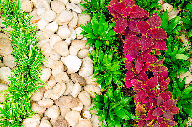 istock stone and grass in the garden 186205110