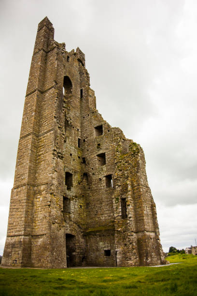 istock Spring in Trim Castle (Caislean Bhaile Atha Troim), Ireland 1862063452