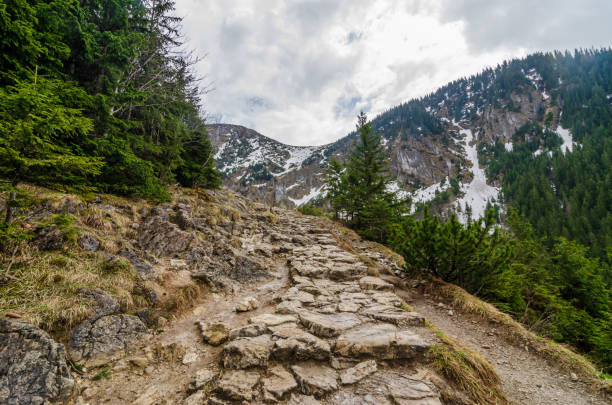 caminhada no vale gasienicowa durante a primavera. pitoresca paisagem montanhosa nas montanhas tatra, europa. zakopane, polônia. lugares mais bonitos do mundo. - tatra national park - fotografias e filmes do acervo