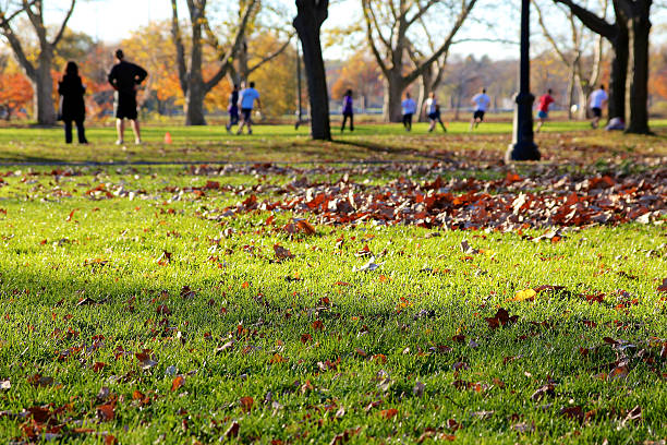 Students playing a pick-up game in JFK park in Cambridge, MA, USA.