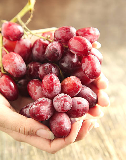 istock Hand Holding a Bunch of Red Grapes. Sekective focus 186207346