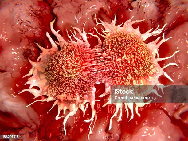 Dividing Cancer Cells Stock Photo - Download Image Now - Biological Cell, Cancer - Illness, Cancer Cell