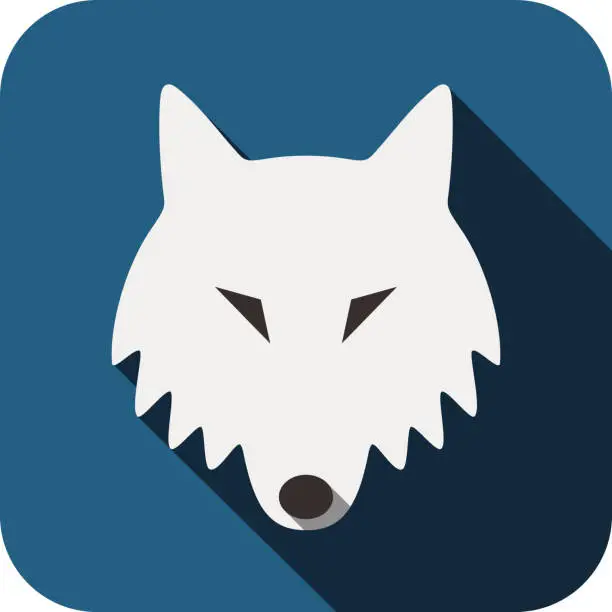 Vector illustration of Wolf animal face flat design, vector